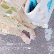 ヒメ日記 2025/05/29 14:36 投稿 せいら　☆甘く淫らな癒し娘☆ PREMIUM～プレミアム～