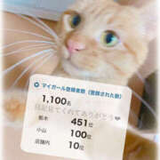 ヒメ日記 2025/05/29 21:46 投稿 せいら　☆甘く淫らな癒し娘☆ PREMIUM～プレミアム～