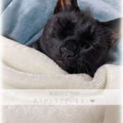 ヒメ日記 2025/06/17 21:46 投稿 せいら　☆甘く淫らな癒し娘☆ PREMIUM～プレミアム～