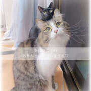 ヒメ日記 2025/06/24 14:16 投稿 せいら　☆甘く淫らな癒し娘☆ PREMIUM～プレミアム～