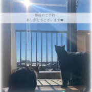 ヒメ日記 2025/06/29 10:46 投稿 せいら　☆甘く淫らな癒し娘☆ PREMIUM～プレミアム～