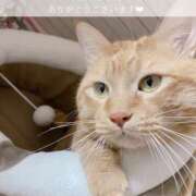 ヒメ日記 2025/07/04 07:06 投稿 せいら　☆甘く淫らな癒し娘☆ PREMIUM～プレミアム～