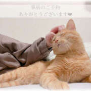 ヒメ日記 2025/07/08 15:46 投稿 せいら　☆甘く淫らな癒し娘☆ PREMIUM～プレミアム～