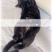 ヒメ日記 2025/07/10 07:06 投稿 せいら　☆甘く淫らな癒し娘☆ PREMIUM～プレミアム～