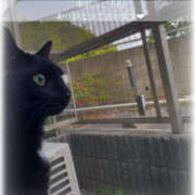 ヒメ日記 2025/07/24 07:06 投稿 せいら　☆甘く淫らな癒し娘☆ PREMIUM～プレミアム～