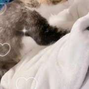 ヒメ日記 2025/08/08 23:56 投稿 せいら　☆甘く淫らな癒し娘☆ PREMIUM～プレミアム～