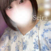 ヒメ日記 2025/08/17 17:26 投稿 せいら　☆甘く淫らな癒し娘☆ PREMIUM～プレミアム～