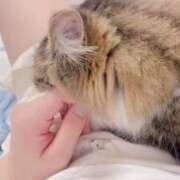 ヒメ日記 2025/08/21 17:06 投稿 せいら　☆甘く淫らな癒し娘☆ PREMIUM～プレミアム～