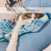 ヒメ日記 2025/08/23 21:36 投稿 せいら　☆甘く淫らな癒し娘☆ PREMIUM～プレミアム～