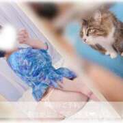 ヒメ日記 2025/08/25 23:26 投稿 せいら　☆甘く淫らな癒し娘☆ PREMIUM～プレミアム～