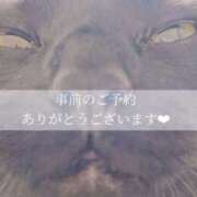 ヒメ日記 2025/08/26 17:06 投稿 せいら　☆甘く淫らな癒し娘☆ PREMIUM～プレミアム～