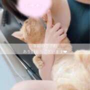 ヒメ日記 2025/09/02 21:06 投稿 せいら　☆甘く淫らな癒し娘☆ PREMIUM～プレミアム～