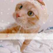 ヒメ日記 2025/09/04 12:16 投稿 せいら　☆甘く淫らな癒し娘☆ PREMIUM～プレミアム～