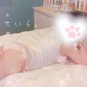 ヒメ日記 2025/09/18 17:07 投稿 せいら　☆甘く淫らな癒し娘☆ PREMIUM～プレミアム～