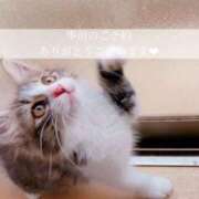 ヒメ日記 2025/09/21 07:16 投稿 せいら　☆甘く淫らな癒し娘☆ PREMIUM～プレミアム～