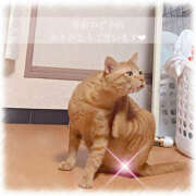 ヒメ日記 2025/09/25 11:06 投稿 せいら　☆甘く淫らな癒し娘☆ PREMIUM～プレミアム～