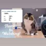 ヒメ日記 2025/10/05 21:26 投稿 せいら　☆甘く淫らな癒し娘☆ PREMIUM～プレミアム～