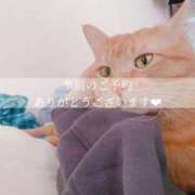 ヒメ日記 2025/10/06 12:36 投稿 せいら　☆甘く淫らな癒し娘☆ PREMIUM～プレミアム～