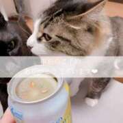 ヒメ日記 2025/10/08 23:56 投稿 せいら　☆甘く淫らな癒し娘☆ PREMIUM～プレミアム～