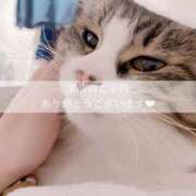 ヒメ日記 2025/10/17 21:36 投稿 せいら　☆甘く淫らな癒し娘☆ PREMIUM～プレミアム～