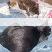 ヒメ日記 2025/10/20 07:46 投稿 せいら　☆甘く淫らな癒し娘☆ PREMIUM～プレミアム～