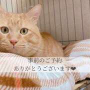 ヒメ日記 2025/10/24 23:36 投稿 せいら　☆甘く淫らな癒し娘☆ PREMIUM～プレミアム～