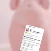 ヒメ日記 2025/10/27 07:06 投稿 せいら　☆甘く淫らな癒し娘☆ PREMIUM～プレミアム～