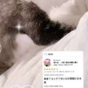 ヒメ日記 2025/10/27 21:56 投稿 せいら　☆甘く淫らな癒し娘☆ PREMIUM～プレミアム～