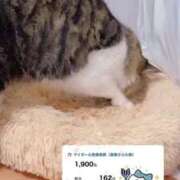 ヒメ日記 2025/10/28 21:56 投稿 せいら　☆甘く淫らな癒し娘☆ PREMIUM～プレミアム～