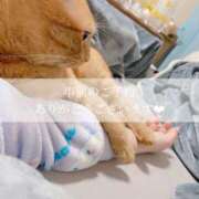 ヒメ日記 2025/10/30 00:56 投稿 せいら　☆甘く淫らな癒し娘☆ PREMIUM～プレミアム～