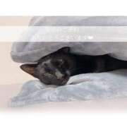 ヒメ日記 2025/11/01 00:56 投稿 せいら　☆甘く淫らな癒し娘☆ PREMIUM～プレミアム～