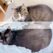 ヒメ日記 2025/11/05 14:07 投稿 せいら　☆甘く淫らな癒し娘☆ PREMIUM～プレミアム～