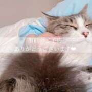 ヒメ日記 2025/11/09 12:26 投稿 せいら　☆甘く淫らな癒し娘☆ PREMIUM～プレミアム～