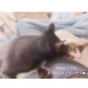 ヒメ日記 2025/11/17 21:46 投稿 せいら　☆甘く淫らな癒し娘☆ PREMIUM～プレミアム～