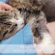 ヒメ日記 2025/11/21 05:46 投稿 せいら　☆甘く淫らな癒し娘☆ PREMIUM～プレミアム～