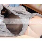 ヒメ日記 2025/11/25 07:06 投稿 せいら　☆甘く淫らな癒し娘☆ PREMIUM～プレミアム～