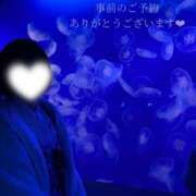 ヒメ日記 2025/12/04 07:16 投稿 せいら　☆甘く淫らな癒し娘☆ PREMIUM～プレミアム～