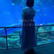 ヒメ日記 2025/12/04 21:56 投稿 せいら　☆甘く淫らな癒し娘☆ PREMIUM～プレミアム～