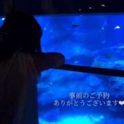 ヒメ日記 2025/12/09 21:56 投稿 せいら　☆甘く淫らな癒し娘☆ PREMIUM～プレミアム～