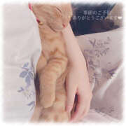 ヒメ日記 2025/12/13 17:36 投稿 せいら　☆甘く淫らな癒し娘☆ PREMIUM～プレミアム～