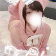 ヒメ日記 2025/12/17 18:46 投稿 せいら　☆甘く淫らな癒し娘☆ PREMIUM～プレミアム～