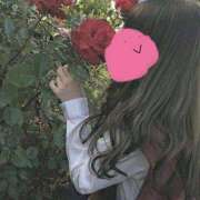 ヒメ日記 2025/04/11 14:37 投稿 じゅり 所沢東村山ちゃんこ