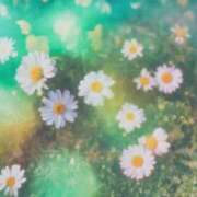 ヒメ日記 2025/04/27 17:20 投稿 じゅり 所沢東村山ちゃんこ