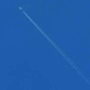 ヒメ日記 2025/09/10 00:48 投稿 じゅり 所沢東村山ちゃんこ