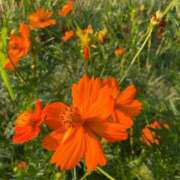 ヒメ日記 2025/09/11 15:06 投稿 じゅり 所沢東村山ちゃんこ