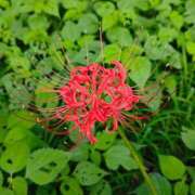 ヒメ日記 2025/10/03 22:59 投稿 じゅり 所沢東村山ちゃんこ