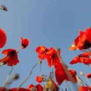 ヒメ日記 2025/11/09 16:03 投稿 じゅり 所沢東村山ちゃんこ