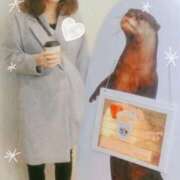 ヒメ日記 2025/11/18 16:24 投稿 じゅり 所沢東村山ちゃんこ