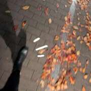 ヒメ日記 2025/11/23 19:03 投稿 じゅり 所沢東村山ちゃんこ