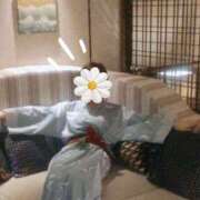 ヒメ日記 2025/11/26 06:30 投稿 じゅり 所沢東村山ちゃんこ